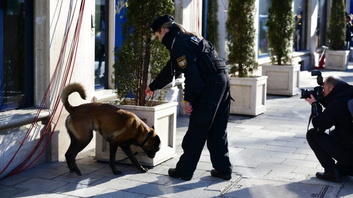 Sicherheitskonferenz: Sprengstoffsuche für die Fotografen: Diensthund Alfi, ein sechsjähriger belgischer Schäferhund, zeigt am Freitagmorgen auf dem Promenadeplatz, wie er die Sicherheitskonferenz sicher macht.