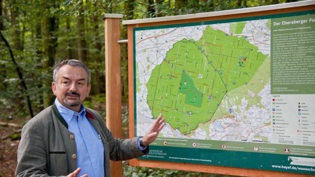Die Geschichte eines besonderen Waldes: Forstbetriebsleiter Heinz Utschig kennt die Besonderheiten.