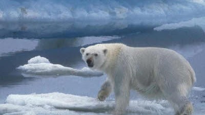 Mikroorganismen in der Arktis: Möglicherweise ein Zeichen für unentdecktes Erdöl? Mikroorganismen im arktischen Eis.
