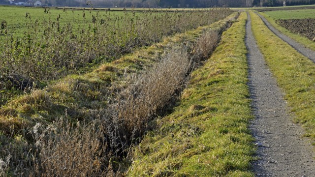 Artenschutz: Auf Feldern rund um Hattenhofen sowie im Althegnenberg sollen Bürger von Landwirten Flächen für Blühwiesen pachten können.