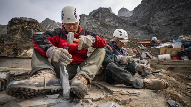 Paläontologie: In dem auf 2500 Meter Höhe gelegenen Steinbruch zerbrechen Paläontologen Schieferplatten, um Fossilien freizulegen.