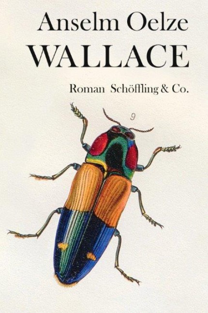 Debütroman: Anselm Oelze: Wallace. Roman. Schöffling & Co., Frankfurt am Main 2019. 264 Seiten, 22 Euro.