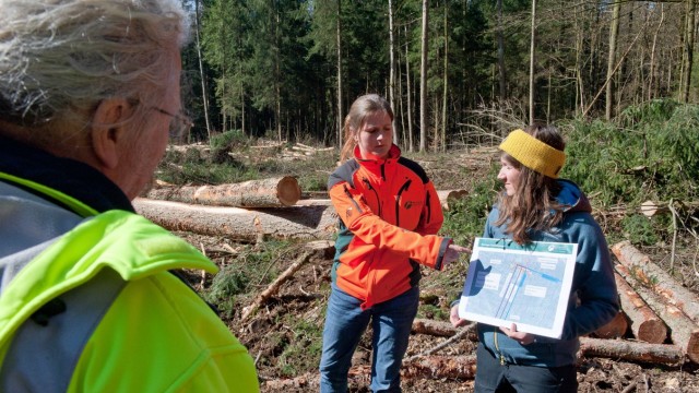 Forstinning: Künftig arbeiten Linda Madl (links) und Lisa Pausch vom Forstbetrieb mit einem "Nasslager": Wasser fließt in die Poren des Baums und raubt dem Käfer Sauerstoff.
