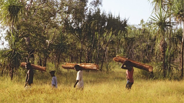 Oenpelli Arnhem Land Northern Territory Australia Aboriginal people carrying Stringybark bark for