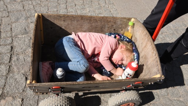 Tierpark Hellabrunn: Ein Bett im Bollerwagen: Zooausflüge sind anstrengend.