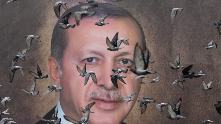Pigeons fly in front of a large poster of Turkish President Tayyip Erdogan in Bursa