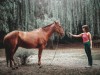 Pferd und Mädchen