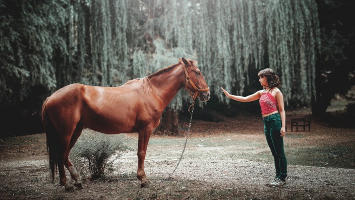 Pferd und Mädchen