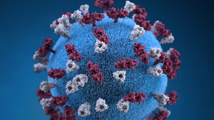 An illustration provides a 3D graphical representation of a spherical-shaped, measles virus particle studded with glycoprotein tubercles in this handout image