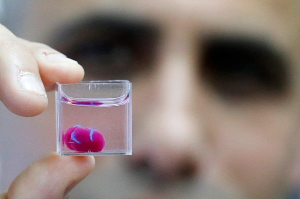 Kein kleiner Fisch: Israelische Forscher stellen ein Mini-Herz aus menschlichem Gewebe mit dem 3D-Drucker her. Derart erzeugte Organe sollen einmal Spenden von Menschen überflüssig machen.