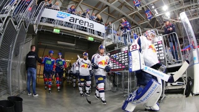 Spieler Muenchen und Mannheim kommen zum aufwaermen in die Halle vor dem Spiel Adler Mannheim gegen; Eishockey
