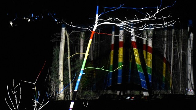 Kunstprojekt: Nachts projizieren Michaela Soiderer und Manfred Nadler den Regenbogen an die Bäume im Amperwald.
