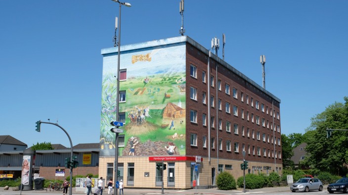 Hamburg Gebäude mit Wandbemalung Graffiti Kreuzung Jenfelder Allee Ecke Rodigalle in Hamburg Stadtt