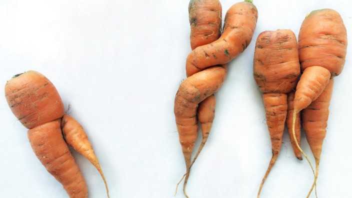 Odd shaped carrots on white cardboard background