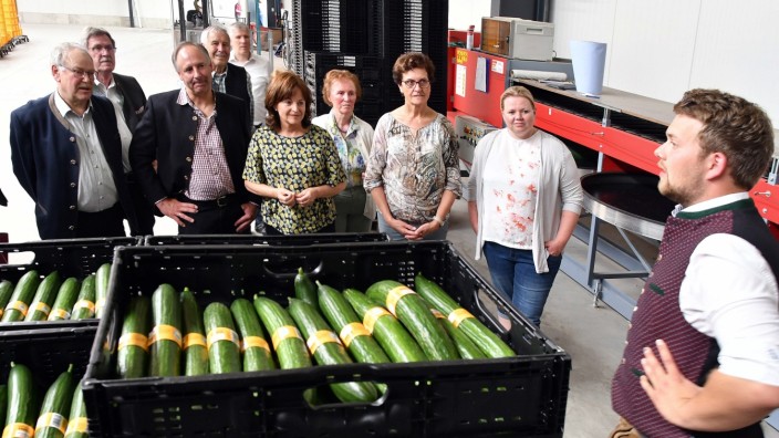 Regionaler Anbau: Die Gurkenzucht der Familie Zollner bekam Besuch von der CSU-Agrarexpertin Marlene Mortler (3. v. links), rechts Junior-Chef Johannes Zollner.