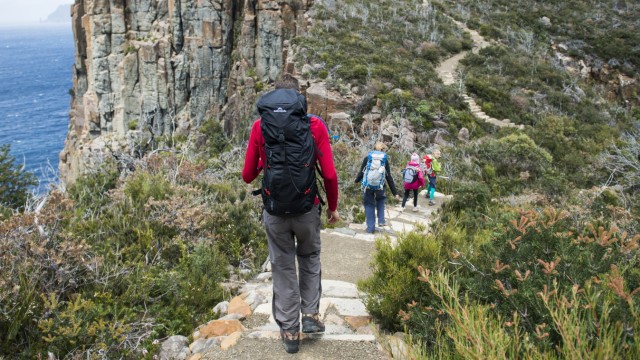 Wanderer gehen auf dem Three Capes Track in Tasmanien.