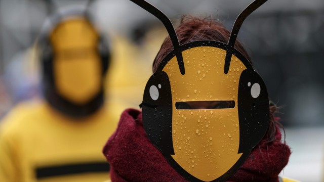 Artenschutz: Gegen Bienensterben, für Artenschutz: Demonstrant in Paris.