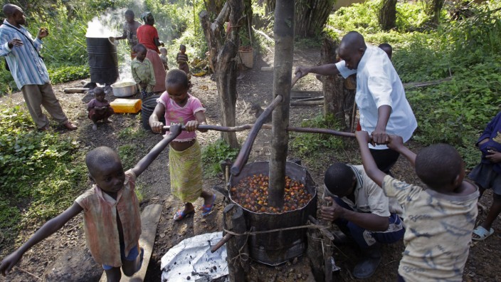 Afrika: In einem Dorf im Kongo pressen die Mitglieder einer Familie Öl aus dem Fleisch der Früchte der Ölpalme.