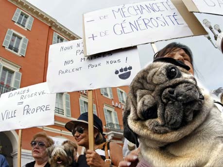 Proteste französischer Hundebesitzer