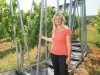Freiland-Forschung - Wein und CO2