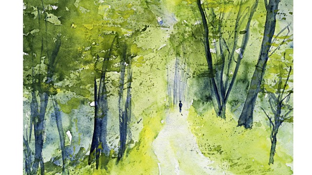 Cover und  Zeichnungen aus dem Buch "Eichendorff - Wenn die Bäume lieblich rauschen" von Hans-Jürgen Gaudeck. ACHTUNG: COPYRIGHT MUSS GENAU ANGEGEBEN WERDEN: Hans-Jürgen Gaudeck, Steffen Verlag