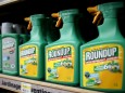 File photo of Monsanto's Roundup weedkiller atomizers displayed for sale at a garden shop at Bonneuil-Sur-Marne near Paris