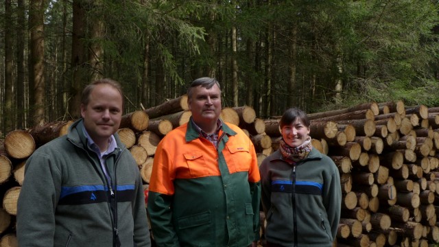 Forstwirtschaft: Die Förster Olaf Rahm (links) und Kira Ullrich inspizieren den Wald von Georg Walser bei Arget.