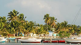 Karibiktraum: Caye Caulker in Belize: Karibik-Idylle im Hafen von Caye Caulker.