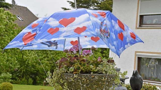 Starkregen: Wer seine Blumen liebt, der kümmert sich um sie: Ein Schirm schützt diese Geranien in einem Garten in Oberschweinbach vor dem Regen.
