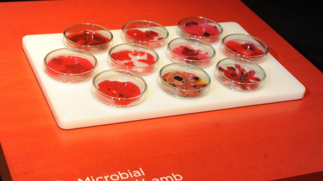Biotopia: Auch Kaviar kann mit Zellen imitiert werden.