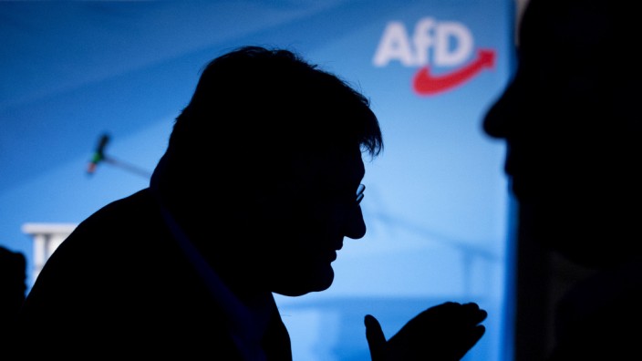 Jörg Meuthen auf einer AfD-Wahlparty zur Europawahl 2019