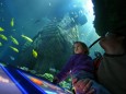 Sea-Life-Aquarium, 2008