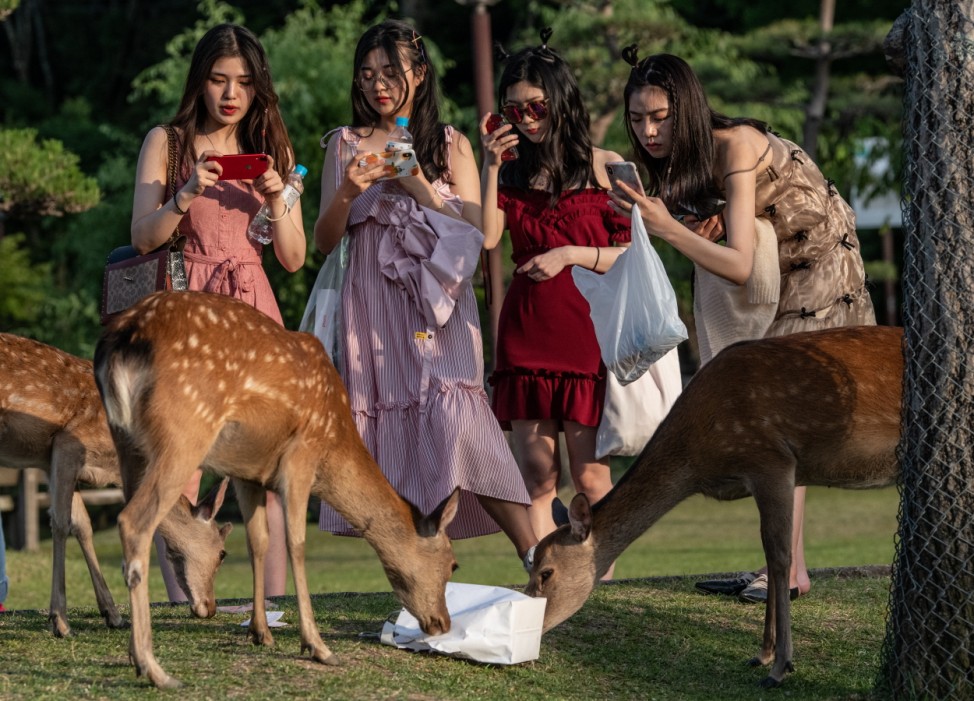*** BESTPIX *** Nara's Wild Deer