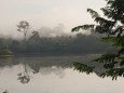 Regenwald-Landschaft entlang des Amazonas in Brasilien.