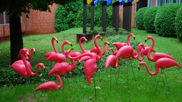 Aus der Reihe "Ein Anruf bei ...": Sie sollten Spenden für die Kirchengemeinde einbringen - stattdessen erschreckten die Flamingos ein altes Ehepaar.