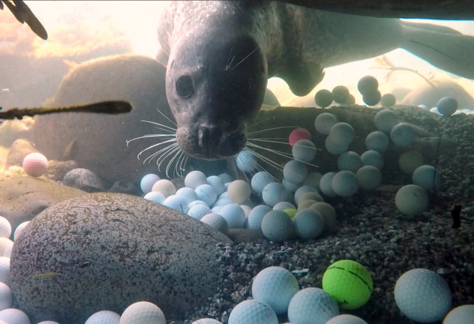 Lost golf balls are pictured on the floor of the Pacific Ocean in Stillwater Cove near Pebble Beach Golf Links in Pebble Beach in this handout photo