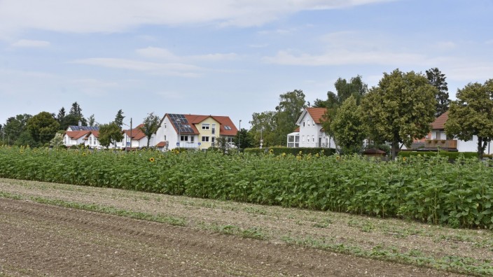 Neubauplanung: Freies Feld: Die Anwohner der Kreuzlinger Straße (im Hintergrund) schauen noch auf eine Ackerfläche.