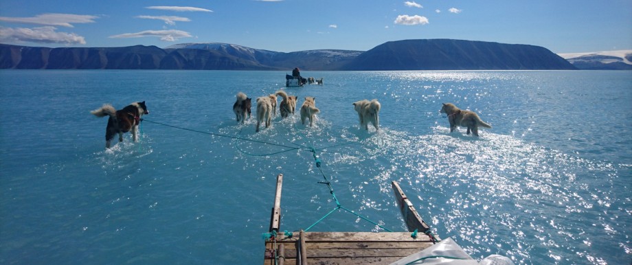 Schlittenhunden auf dem Grönlandeis