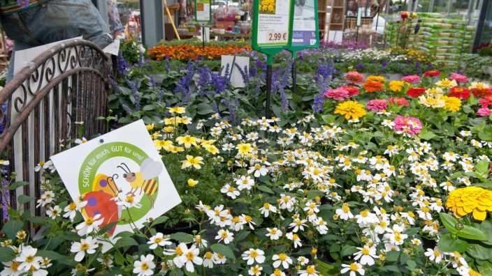 Blumen für den Artenschutz: Mit kleinen Schildern weisen die Gartenbetriebe im Landkreis auf besonders bienenfreundliche Pflanzen hin. Das kommt bei den Kunden gut an.
