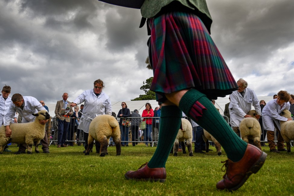 Day Two Of The Royal Highland Show