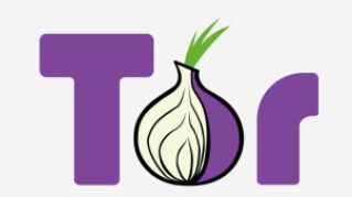 Darknet: Logo des Tor-Browsers