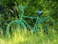 Grünes Fahrrad in grüner Wiese.