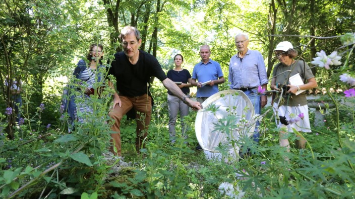 Wettbewerb: Die Jury um Manfred Drobny (Zweiter von links) ist im Garten von Werner Back (Zweiter von rechts) auf der Suche nach Insekten.