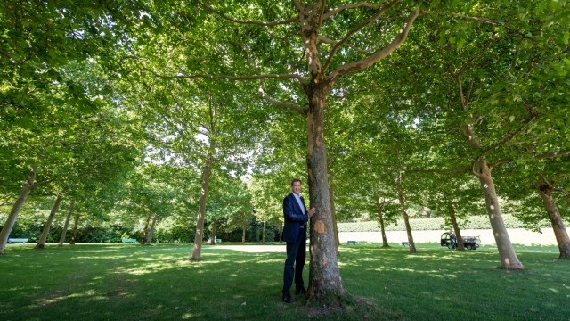 Familie und Gesellschaft: Erst umarmte Söder Wähler am rechten Rand, dann Bäume. Und jetzt umarmt er alles, was sich ihm in den Weg stellt.