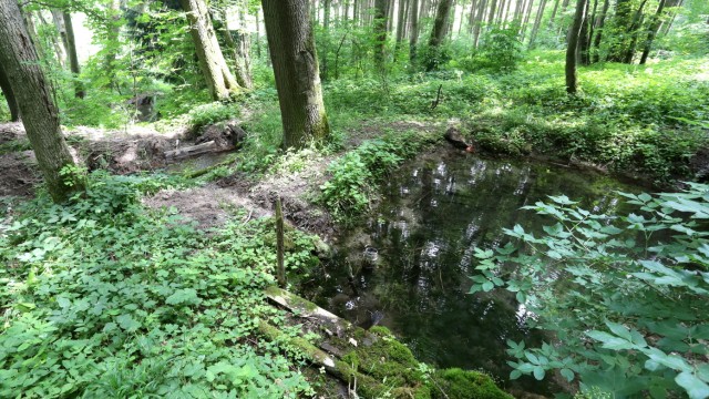 Vorbildliche Umweltprojekte im Landkreis Freising: Die Tuffkalkquelle bei Burghausen führt glasklares Wasser. Um sie aber weiter auszubauen, müssen die Grundstückseigentümer überzeugt werden.