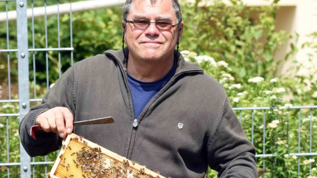 Bienenhonig in der Bank: Der Imker Armin Bruder, Berater des Bezirks Oberbayern, hat die sechs Bienenstöcke der VR Bank Dachau aufgestellt.