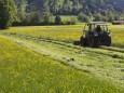 Traktor mäht Blumenwiese im Frühling hinten der Keilkopf Lenggries Isarwinkel Oberbayern Bayern