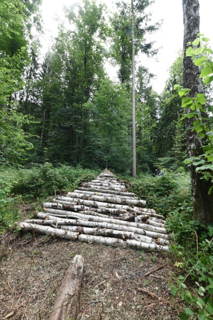 Kunst im Sendlinger Wald: Andreas Bejenke hat einen Steg aus Holzstämmen gelegt