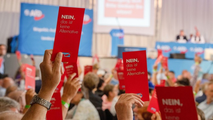 Sonder-Landesparteitag der AfD Bayern