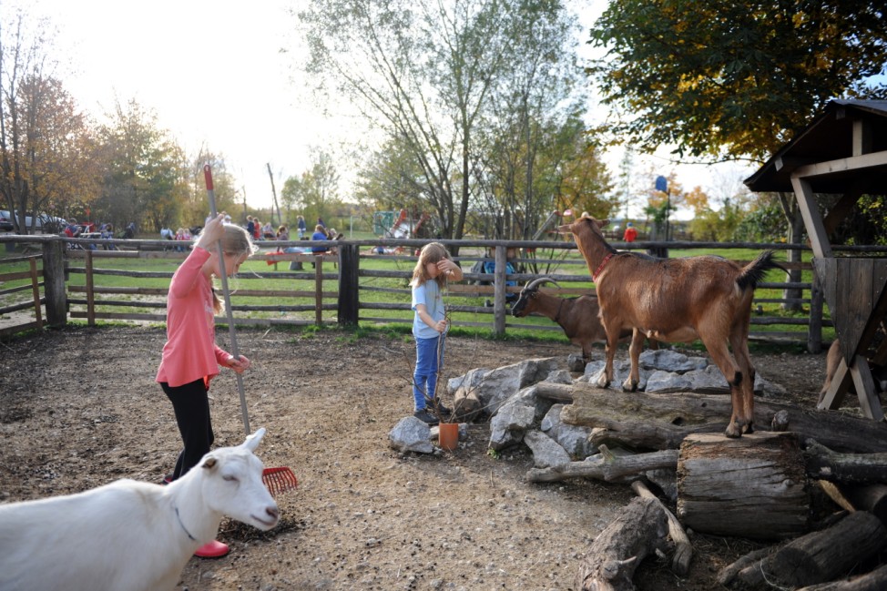 Zwei Mädchen kümmern sich um Ziegen in einem Gehege.